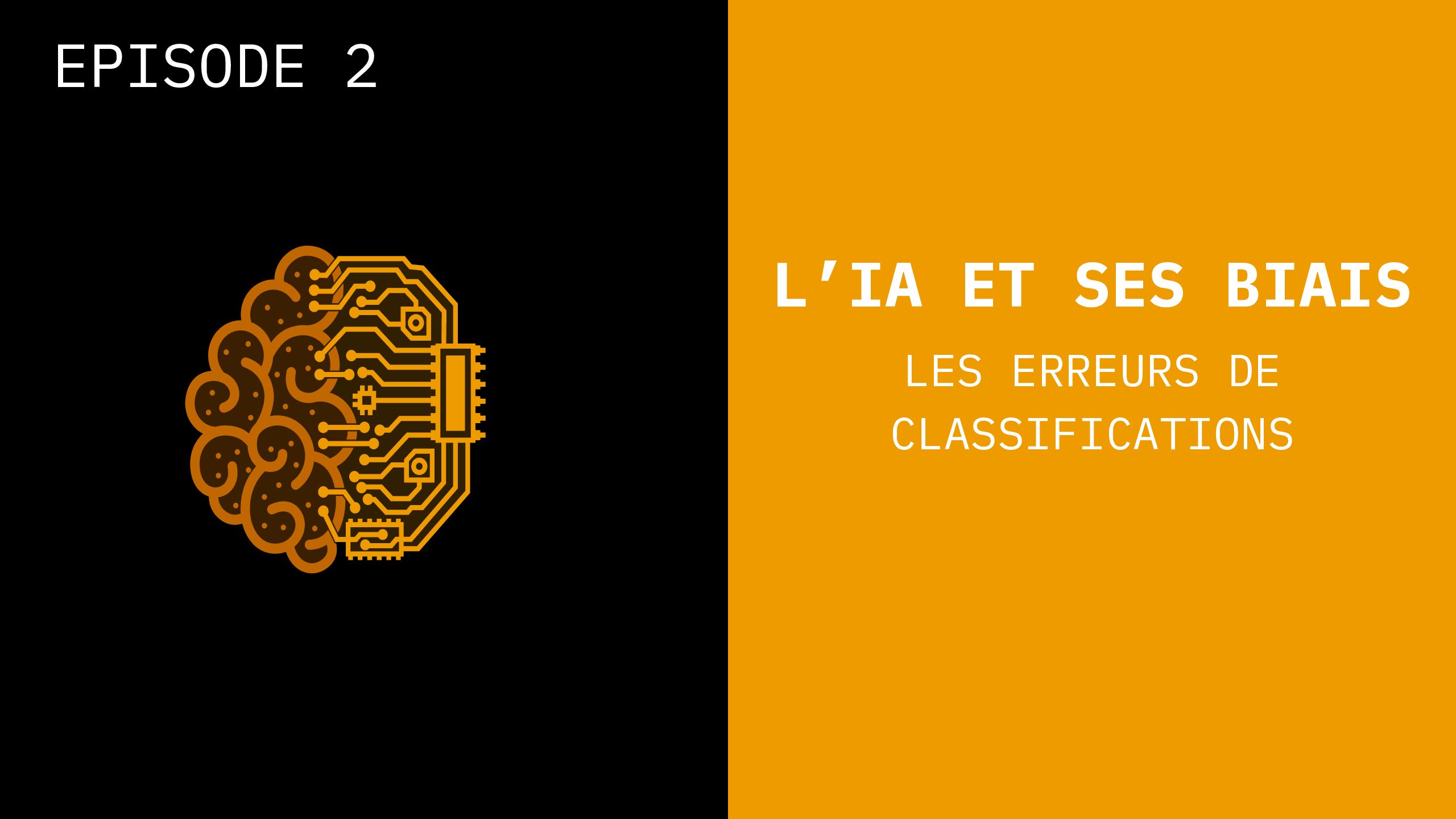 [L’intelligence Artificielle et ses Biais] Episode 2: Erreurs de Classification